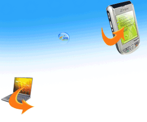 SMS My Business