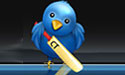 Follow your favourite cricket team – crictwits.com